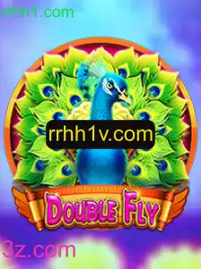 Explorando o Fascinante Mundo de DoubleFly